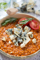 Closeup of italian risotto with red pesto sauce and gorgonzola cheese, vertical shot, selective focus