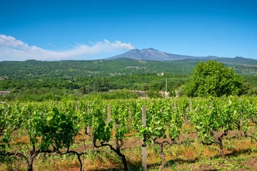Poster Sicilian vineyards with Etna volcano eruption at background in Sicily, Italy © Mazur Travel
