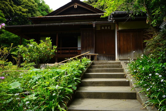 97 596 Best 庭園 Images Stock Photos Vectors Adobe Stock