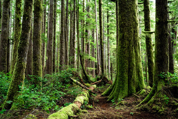 Eden Grove, Port Renfrew, Vancouver Island, BC Canada