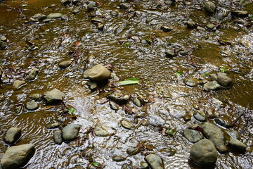 Shallow creek at Japanese garden - 日本庭園の小川