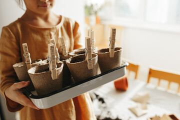 planting herbs at home. 6 years old girl wearing mustard linen dress holding tray with biodegradable containers with variety planted seeds