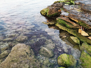 seaweed covered rocks with rough sea in background.