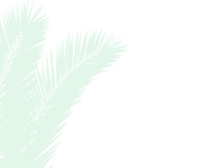 Palm Leaves. Background, wallpaper.