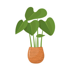 cute flower in a pot. home plant in cartoon style.
