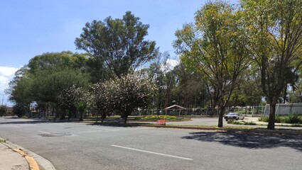 road in the park