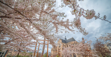 gothic temple of Saint-Eustache in the center of Paris.