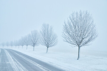 Fototapeta na wymiar Snowy road with snow covered trees