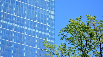 Fototapeta na wymiar Modern downtown office building surrounded by greenery tree, the surface window outside reflecting clear blue sky. Business office building and green trees, business and nature concept. 