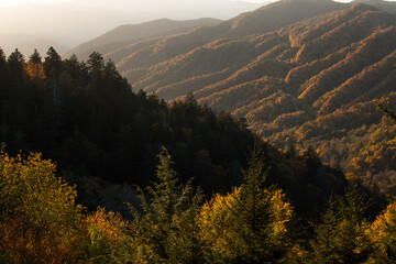 Autumn in the mountains