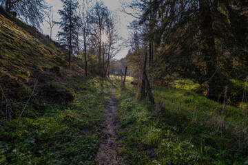 Fototapeta premium Morgenstimmung im Sebnitztal- Sächsische Schweiz