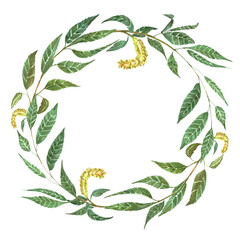 Watercolour willow wreath illustration © Maryna Polovka