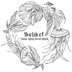 Black and white sketch of Siamese fighting fish and jellyfish swimming in a circle. vector © Olga