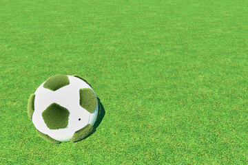 Close-up shot of the white-green ball on the green grass surface.
