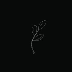 Creative minimalist hand drawing of leaves, flowers, plants for wall decoration, postcard or brochure cover design. Vector EPS 10.