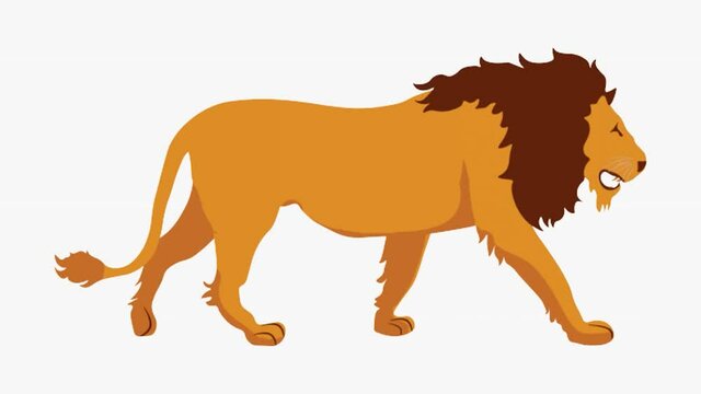 Lion's walking cycle 2D animation, cartoon animation, lion animation