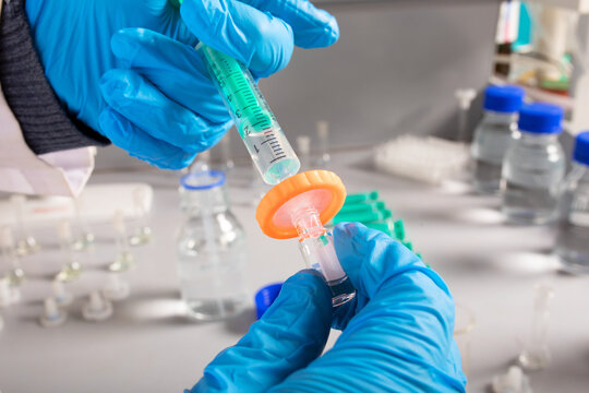 Crop unrecognizable biologist in latex gloves filling injector with liquid from small bottle in laboratory