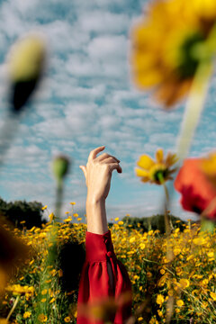 Crop unrecognizable female with raised arm among blooming yellow flowers on meadow in countryside under cloudy sky