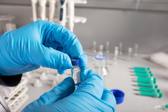 Crop anonymous scientist in disposable gloves with liquid in small transparent bottle working in laboratory