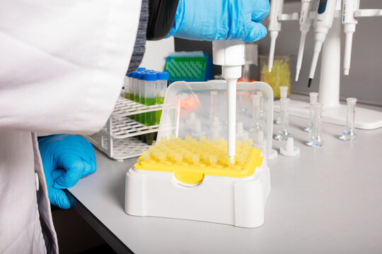 Crop unrecognizable biologist in uniform with dropper and rack with tips at table in cannabis laboratory