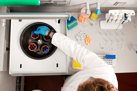 Top view of crop anonymous male chemist putting sample tubes in centrifugal machine in cannabis lab