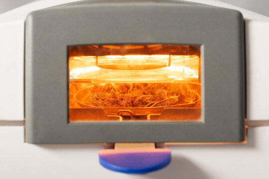 Dry marihuana flower buds in moisture measuring device with heating lamp during analysis in laboratory