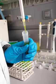 Crop anonymous chemist pouring marijuana oil from pipette into sample tube during examination in laboratory