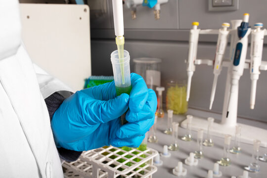 Crop anonymous chemist pouring marijuana oil from pipette into sample tube during examination in laboratory
