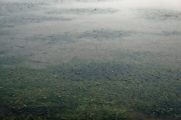 Lake with moss covered in an abstract background.