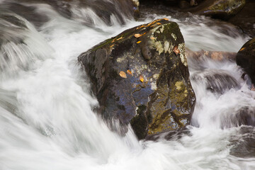 Cascading Stream in the mountains