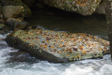 Cascading Stream in the mountains