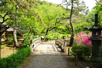 Wooden bridge at Japanese garden - 日本庭園 木造の橋