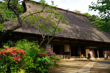 Fototapeta na wymiar Traditional Japanese thatched roof house, rural scene in Japan - 合掌造り 茅葺屋根の家 日本の田舎風景