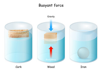 Buoyant force. Archimedes' principle