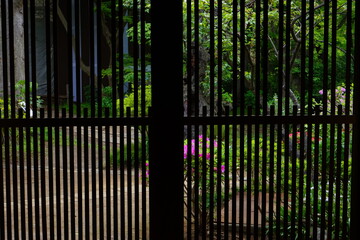 Landscape of fresh green grass from lattice window in Japan - 日本 格子窓からの春の景色