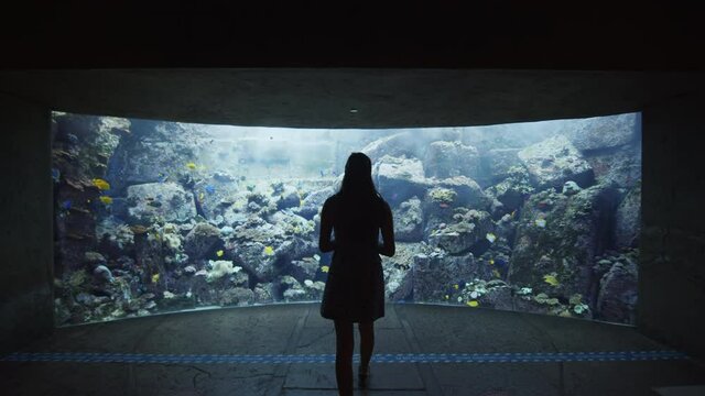 Woman viewing aquarium exhibit with large coral reef and tropical fish. Back view of a woman walking towards large fish tank in Dubai Aquarium