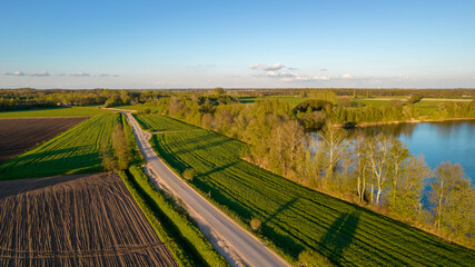 Fototapeta na wymiar Aerial view with a drone of a spring wavy agricultural countryside landscape with plowed and unplowed fields and trees in the blue evening sky. High quality photo