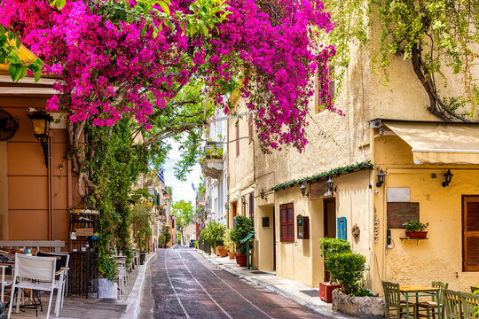 Fototapeta Beautiful view to the little streets of the old town Plaka of Athens, Greece with colorful houses and blooming bougainvillea flowers