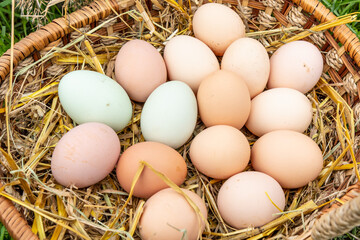 Homemade eggs in a wicker basket. Farm products.