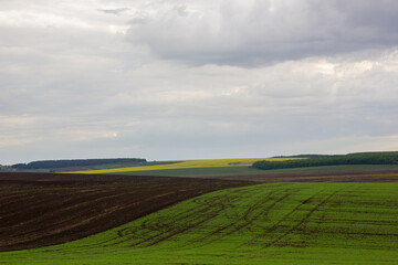 fields in spring