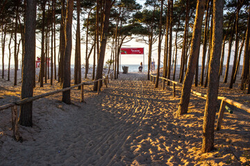 Las Morze bałtyckie Wejście na plażę