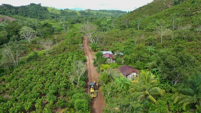 MAQUINARIA EN LA SELVA - PARCELA DE CACAO PER&Uacute;