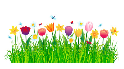 Colorful flowers with green grass isolated on white background. Vector illustration