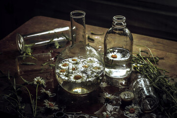 Obraz na płótnie Canvas Glass bottles and medical flasks with white chamomile flowers.Still life in retro style.