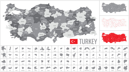 Obraz premium Detailed vector map of regions of Turkey with flag