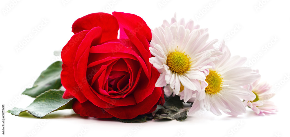 Canvas Prints Bouquet of white chamomile and a red rose.