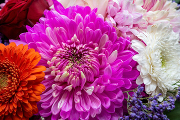 Colorful bouquet of gerberas and chrysanthemums in white and pink colors. Close-up for greeting cards, valentines day, birthday, posters.