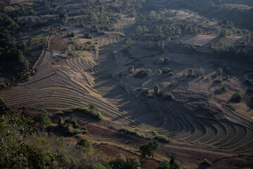 Fototapeta premium Viewpoint looking over terraced rice fields during sunset, Myanmar