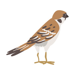 Sparrow as Brown and Grey Small Passerine Bird with Short Tail Standing Vector Illustration