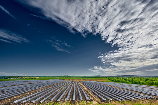 greenhouses in the field against the blue sky